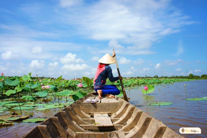 5 Interesting Touristic Things to Do in Mekong Delta