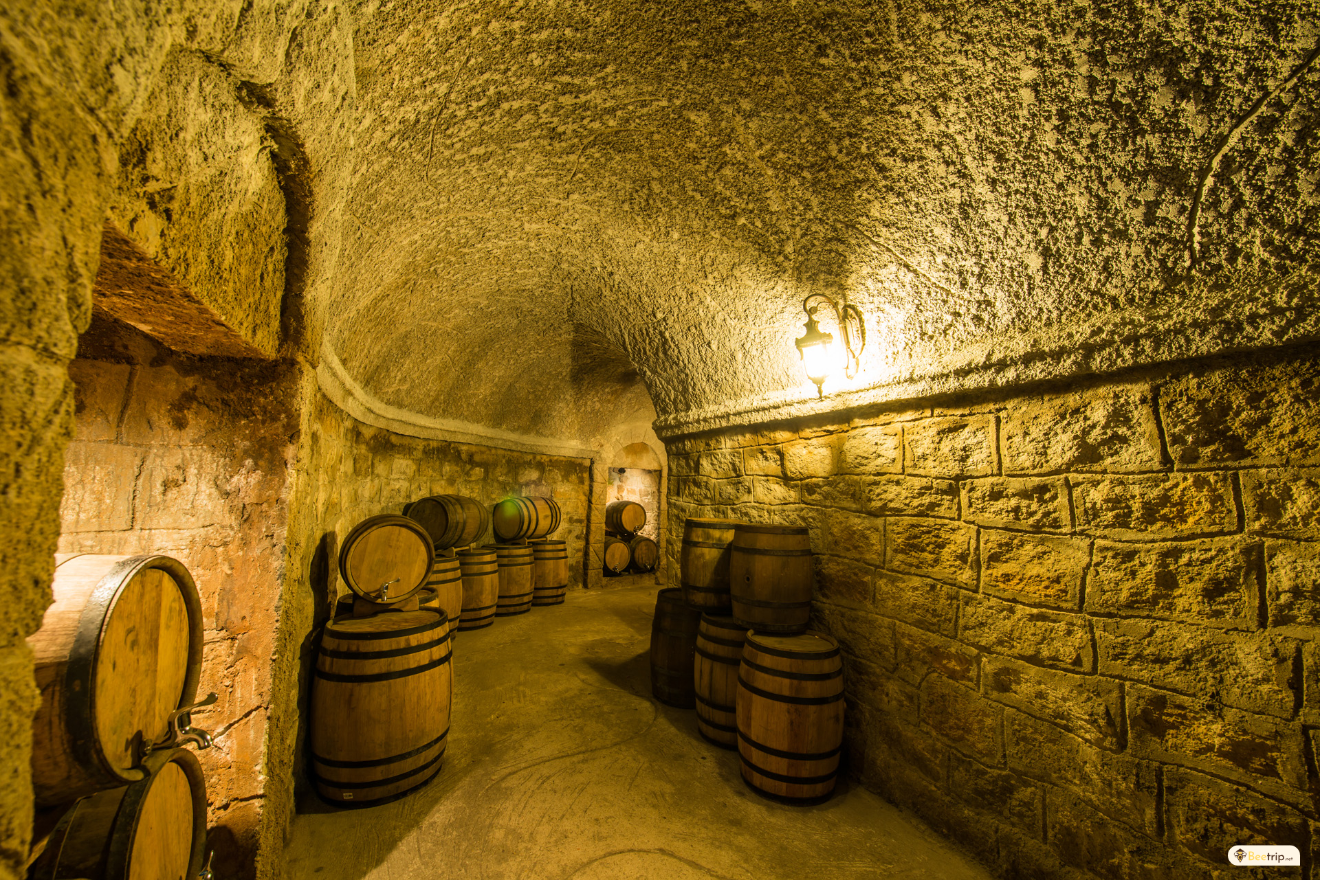 wine-cellar-danang