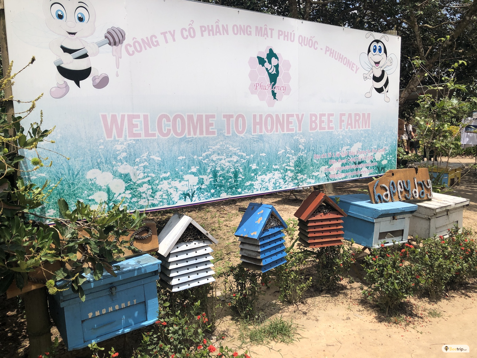 phu-quoc-honey-bee-farm